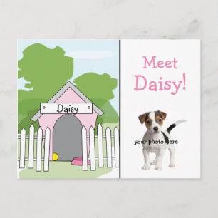 Dog Announcement - Girl Postcard