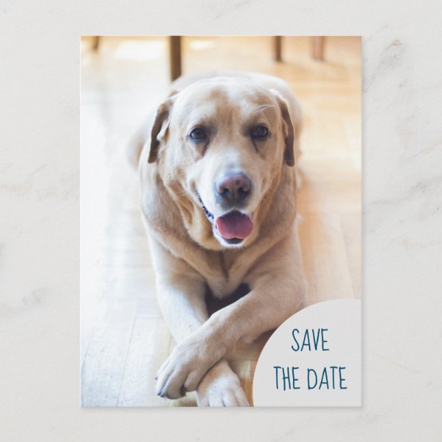 Dog Announcing Save The Date Wedding Photo Announcement Postcard (Front)