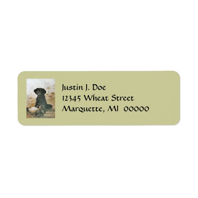 Dog Anxious Labrador & Duck Decoy Address Labels (Front)