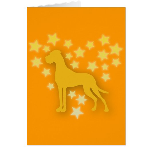 Dog as Stars Cards (Front)