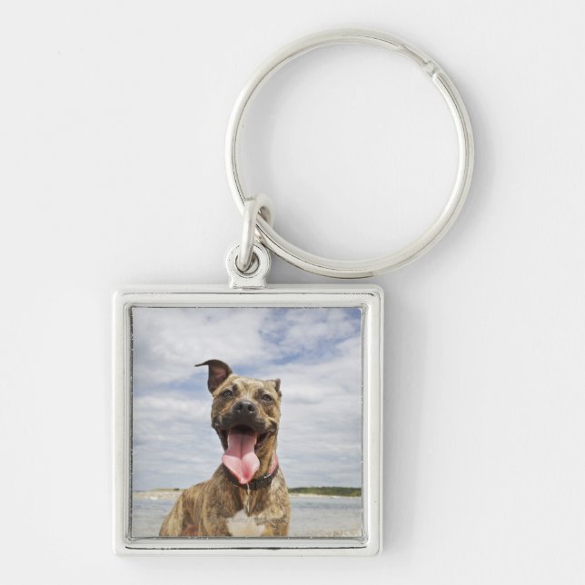 dog at beach keychain (Front)