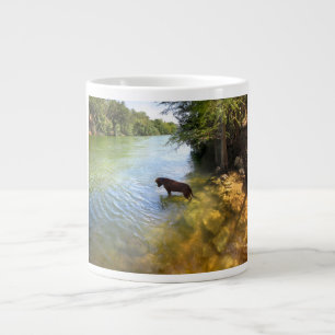 Dog at Ladybird Lake - Downtown Austin Texas Large Coffee Mug