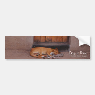Dog at Rest Bumper Sticker