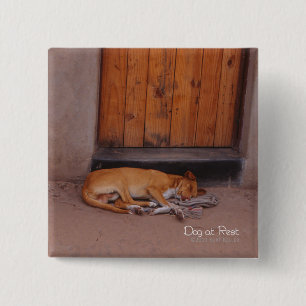 Dog at Rest Pinback Button