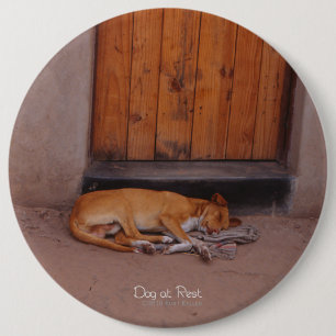 Dog at Rest Pinback Button