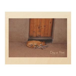 Dog at Rest Wood Wall Decor