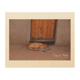 Dog at Rest Wood Wall Decor