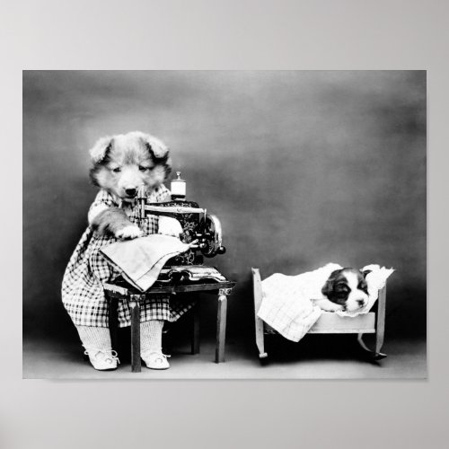 Dog At Sewing Machine _ Making Babys Clothes Poster