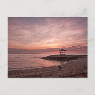 Dog at sunrise postcard