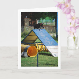Dog at Training School Card
