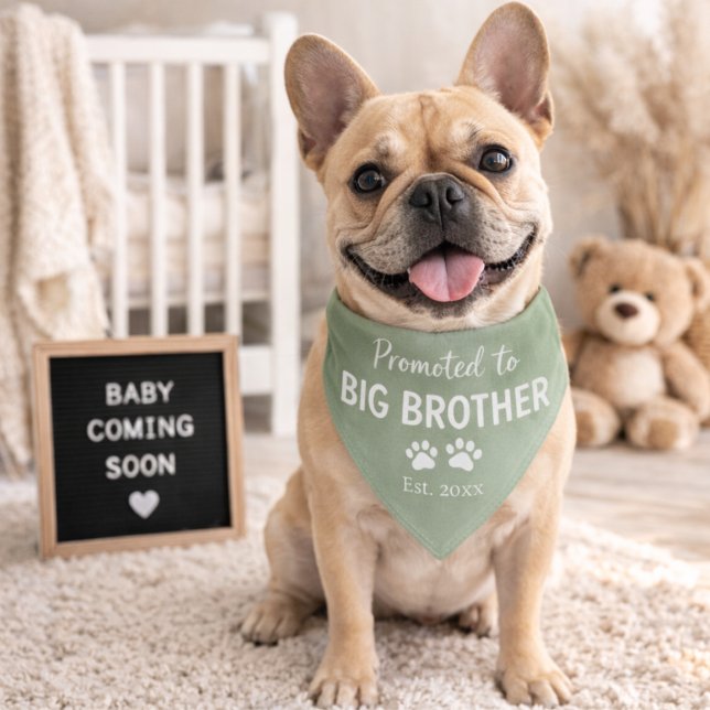 Dog Baby Announcement Bandana Big Brother Pet Bandana Collar (Creator Uploaded)