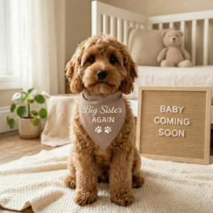 Dog Baby Announcement Bandana Big Sister Again Pet Bandana Collar