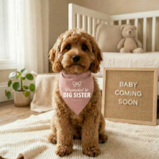 Dog Baby Announcement Bandana Big Sister Pet Bandana Collar