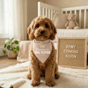 Dog Baby Announcement Bandana Big Sister Pet Bandana Collar