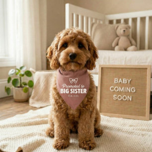 Dog Baby Announcement Bandana Big Sister Pet Bandana Collar