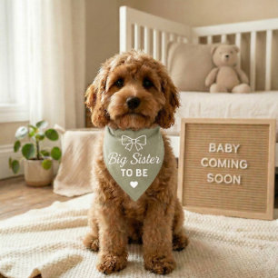 Dog Baby Announcement Bandana Big Sister To Be Pet Bandana Collar