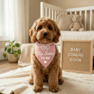 Dog Baby Announcement Bandana Big Sister To Be Pet Collar
