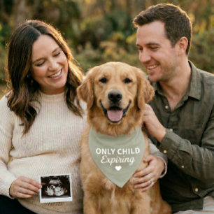 Dog Baby Announcement Bandana Only Child Expiring Pet Bandana Collar