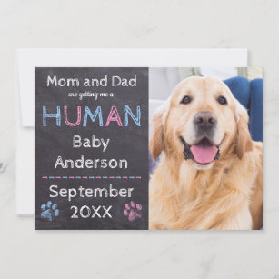 Dog Baby Pregnancy Announcement