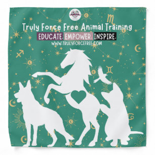 Dog Bandana: Shoot for the Stars  Bandana