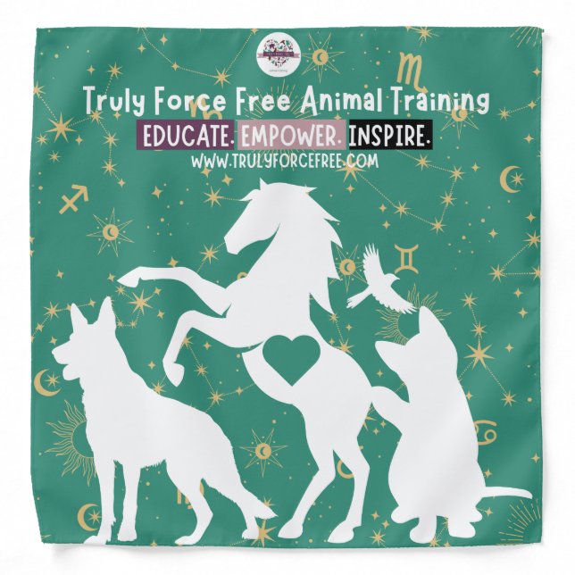 Dog Bandana: Shoot for the Stars  Bandana (Front)