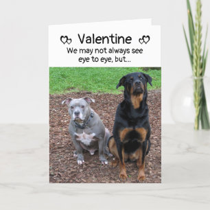 Dog Barks and Woofs Valentine's Day Card