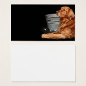 Dog bath (Front & Back)