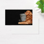 Dog bath (Desk)