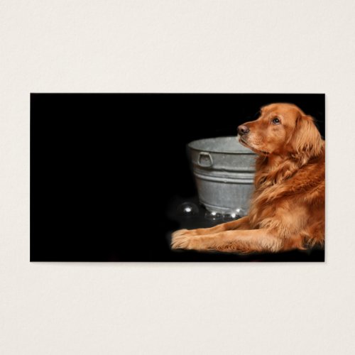 Dog bath business cards