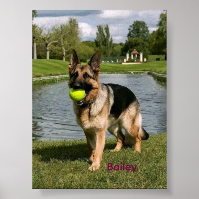 Dog Bathroom Wall Art, Boxer Taking a Bath Poster (Front)