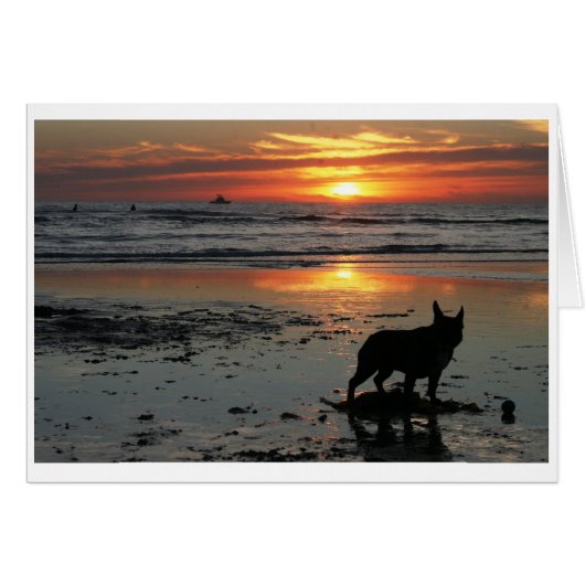 Dog Beach Cards (Front Horizontal)
