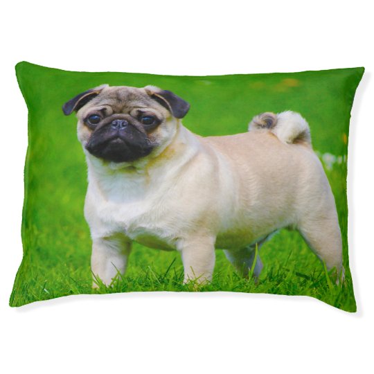 Dog Beds for Pugs. | Zazzle.com