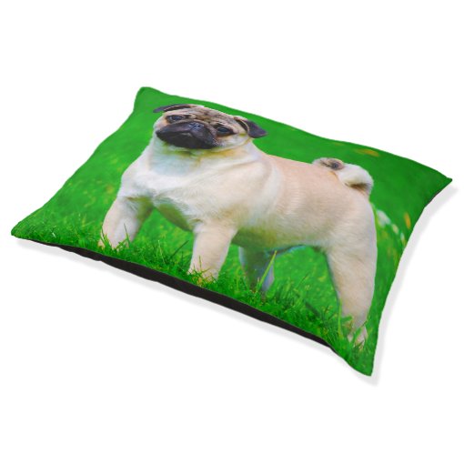 Dog Beds for Pugs. Zazzle
