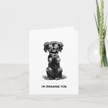 Dog Begging For Forgiveness  Late Birthday Wishes Card by GoodThingsByGorge at Zazzle