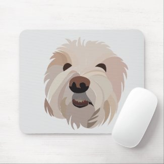 Dog Bichon Frise Cute Dog