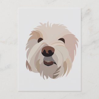Dog Bichon Frise Cute Dog