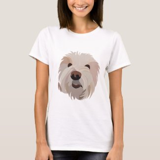 Dog Bichon Frise Cute Dog