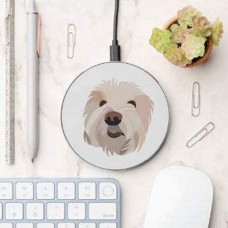 Dog Bichon Frise Cute Dog