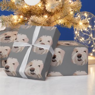 Dog Bichon Frise Cute Dog