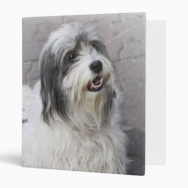 Dog Binder (Front/Inside)