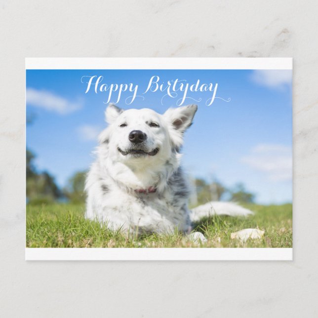 dog birthday card, customizable postcard (Front)