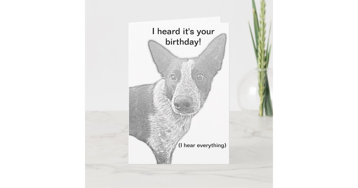 Dog Birthday Card Pun