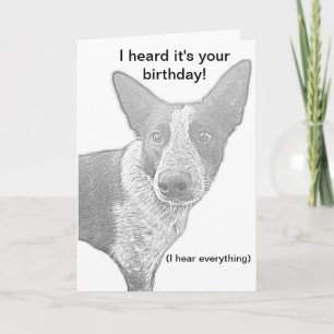 Dog Birthday Card Pun
