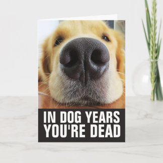 DOG BIRTHDAY, IN DOG YEARS YOU'RE DEAD GREETING CARD