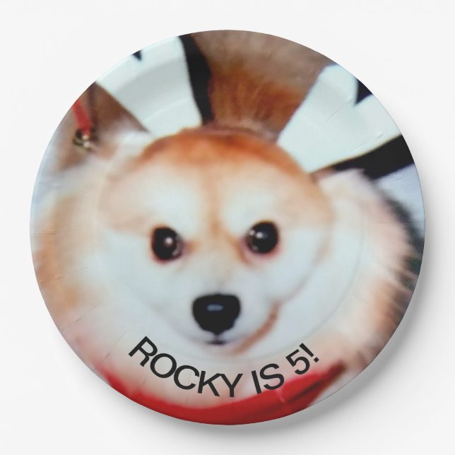 Dog Birthday Party Custom Photo Paper Plates (Front)
