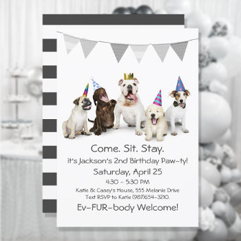 Dog Birthday Party For Boy Puppy Invitation by 3Cattails at Zazzle