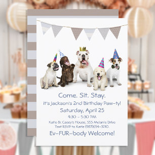 Dog Birthday Party For Boy Puppy Invitation