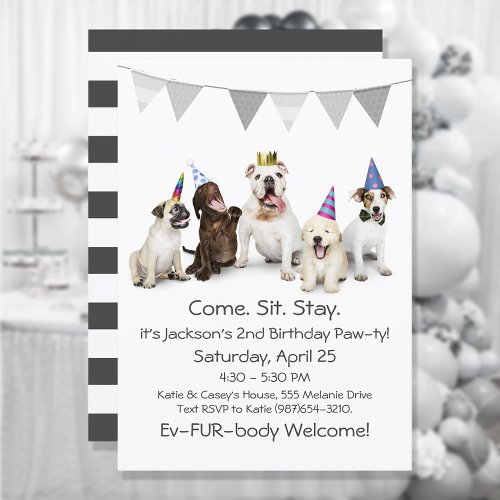 Dog Birthday Party For Boy Puppy Invitation