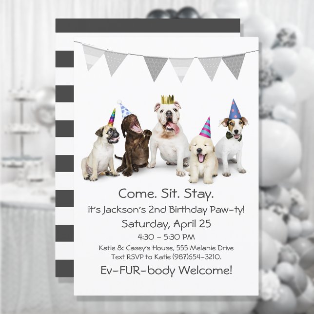 Dog Birthday Party For Boy Puppy Invitation (Creator Uploaded)