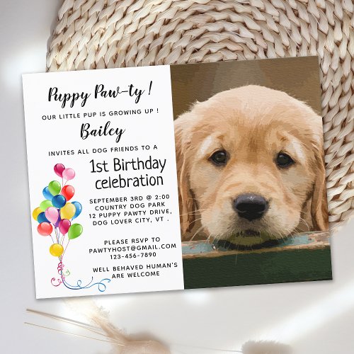 Dog Birthday Party Pet Photo Puppy Pawty Postcard